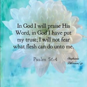 Meet your Posher, Damaris